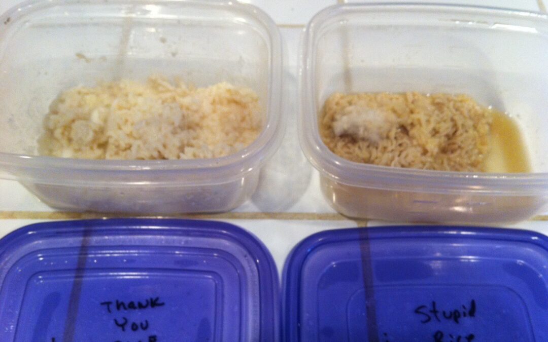 The Rice Experiment – This Will Blow Your Mind!