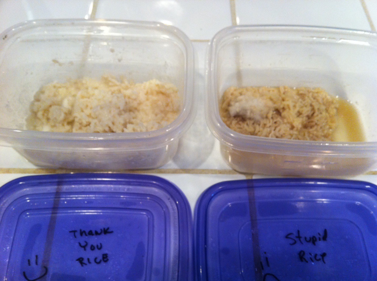 The Rice Experiment This Will Blow Your Mind!