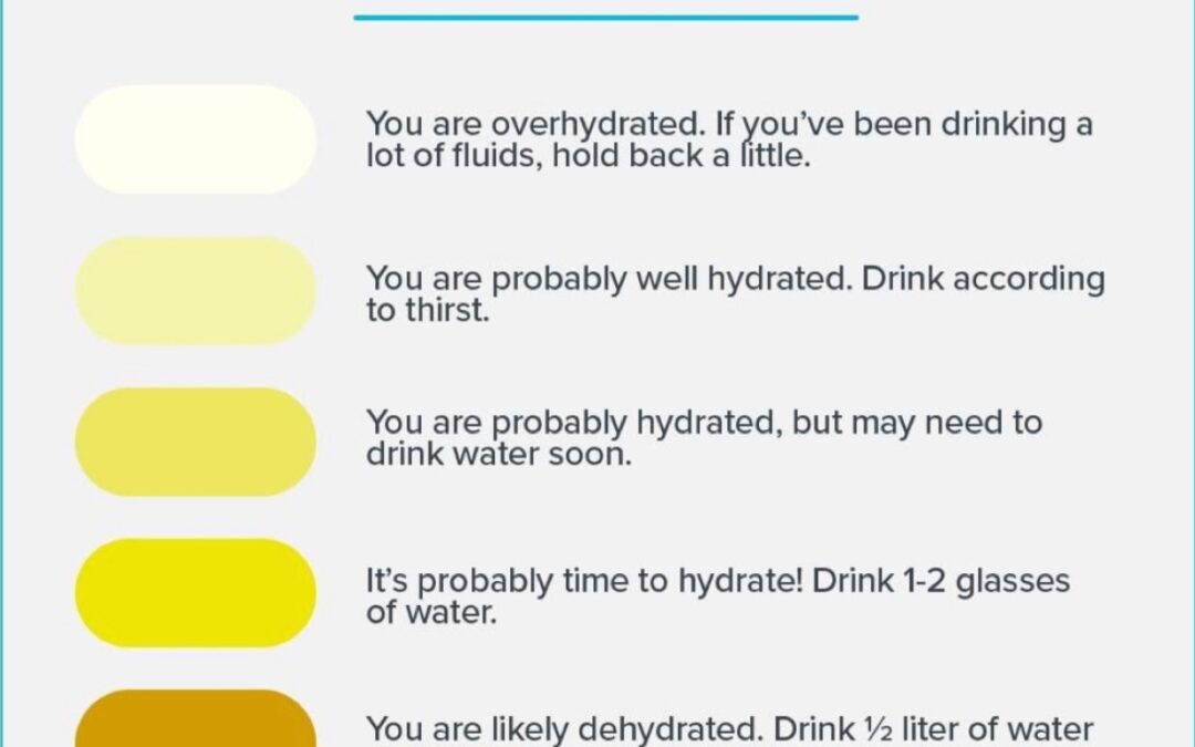 Hydration. How Much Water Is Necessary For Daily Hydration and Energy