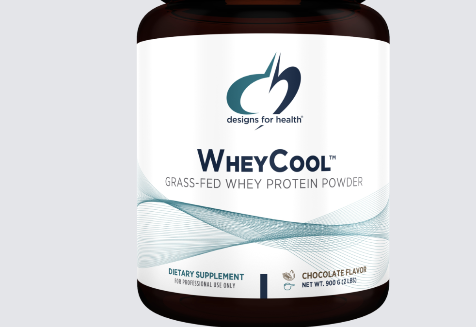 Recommended Protein Powders